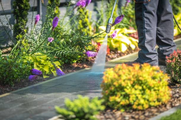 Centralia, IL Pressure Washing Services Company