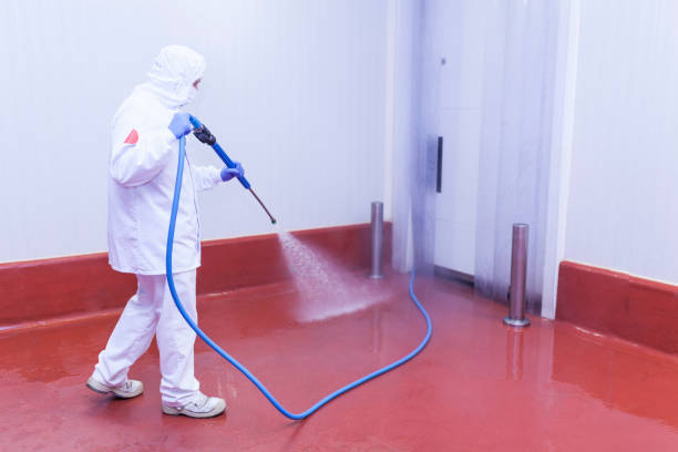 Best Graffiti Removal  in Centralia, IL